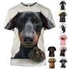 Animal Dog Dachshund T-shirt Graphic Tee For Men's Women's Unisex Adults' 3D Print Casual Daily Cute Funny Gift