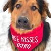 Free Kisses XOXO Pet Dog Boy Girl Red Bandana Scarf Happy Valentine's Day Decoration Dog Lover Mom Dad Gift Present Photo Props