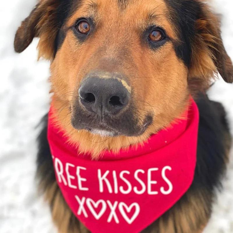 Free Kisses XOXO Pet Dog Boy Girl Red Bandana Scarf Happy Valentine's Day Decoration Dog Lover Mom Dad Gift Present Photo Props