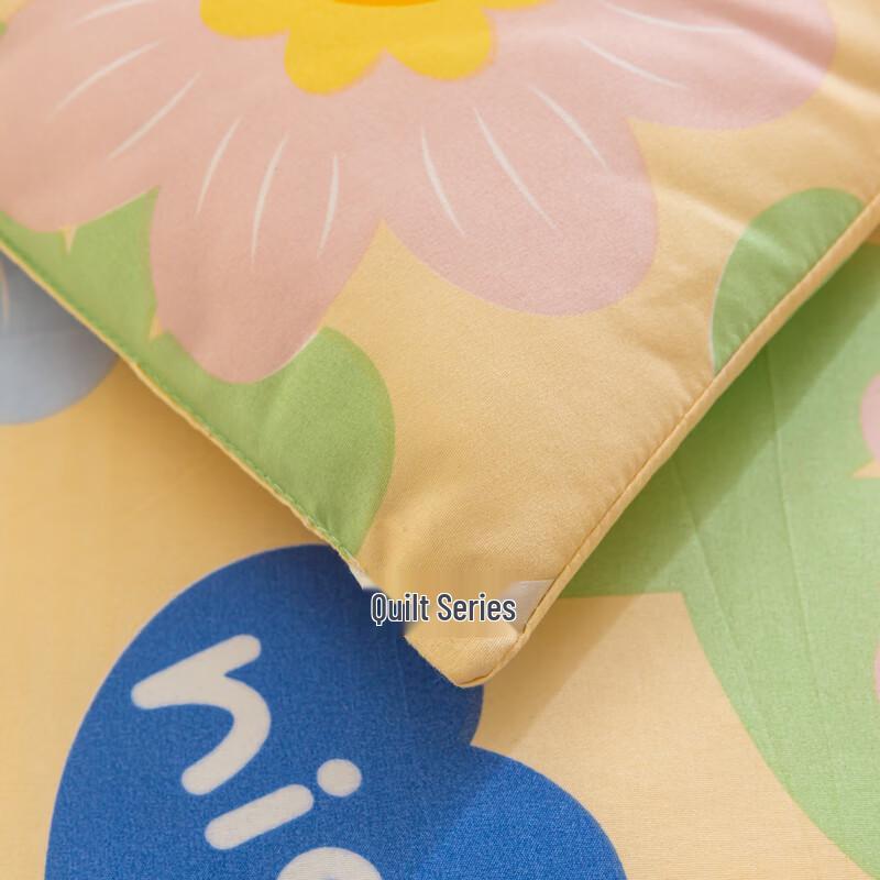 Thick Brushed Fleece Warm Quilt