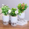 Large-Caliber Transparent Self-Watering Plastic Flower Pot with Double Layer for Home
