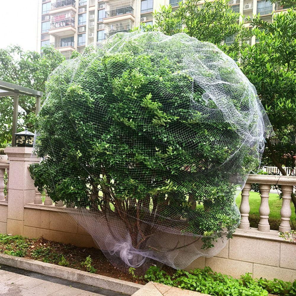White Mesh Anti Bird Net 4-10m Plant Protection Covers Leaf Net Bird Plant Barrier  Fishpond