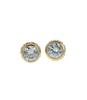 Brass Earrings 37423484GLD111 [Coach] [Item]