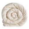 La Torretta 20% Soybean Fiber Winter Comforter