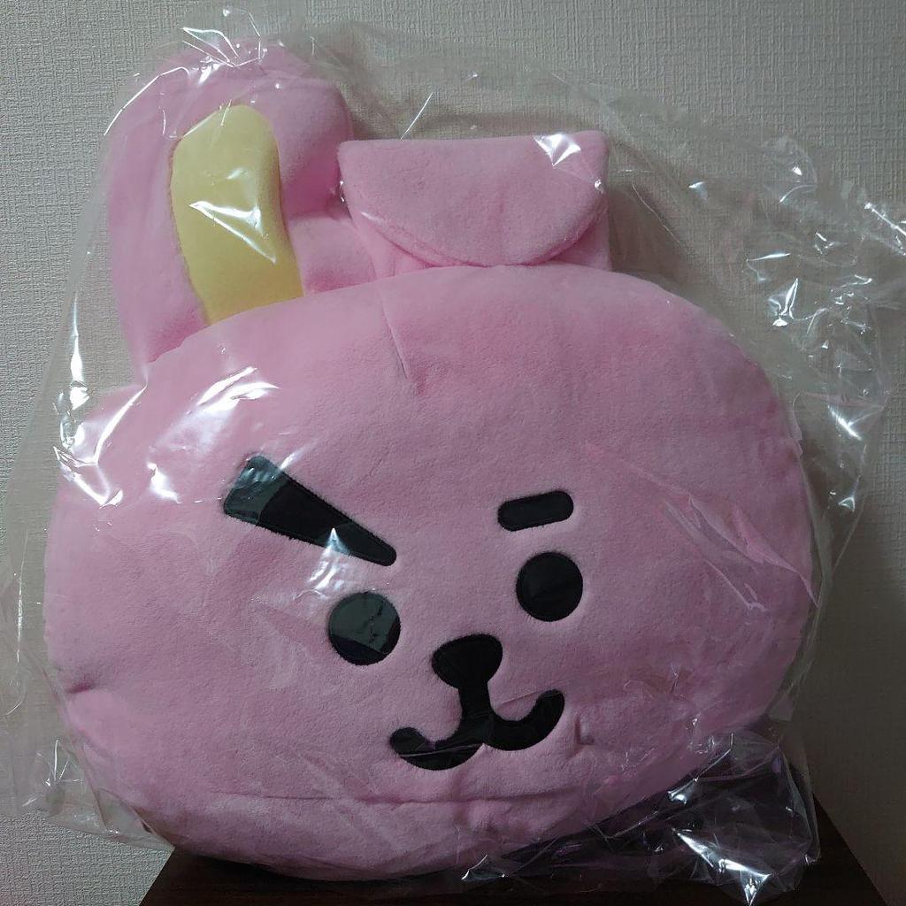 [USED] BT21 BASIC CUSHION COOKY