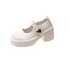 Coarse heel platform small leather shoes women's 2025 spring new French heightening Mary Jane shoes small high heel loafers