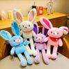 Lovely Rabbit Plush Toy Plushies PP Cotton Decoration