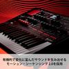KORG KORG Wavetable Synthesizer Modwave MK II Max Stereo 60 Voices