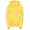Russell Childrens/Kids Pullover Hoodie
