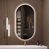 Oval Smart Vanity Bathroom Mirror High Quality Refection Three Color Brightness Dimmer With Anti-fog LED Hotel Bath Mirror