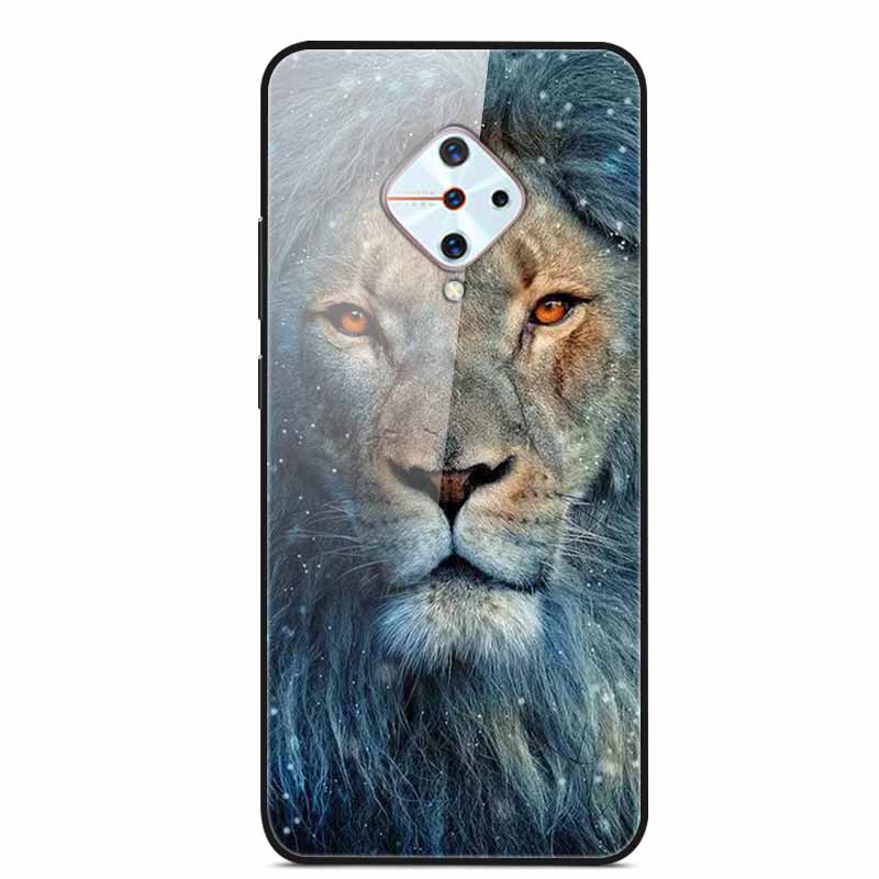 Tempered Glass Case For Vivo V17 Case Russia Glass Back Cover Soft Bumper For Vivo V17 Phone Cases V 17 Funda Y9s S1 Pro Coque