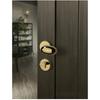 Golden Zinc Alloy Bedroom Door Lock Bathroom Lock Magnetic Suction Mute Room Door Handle Indoor Door Lock Split Door Handle Lock
