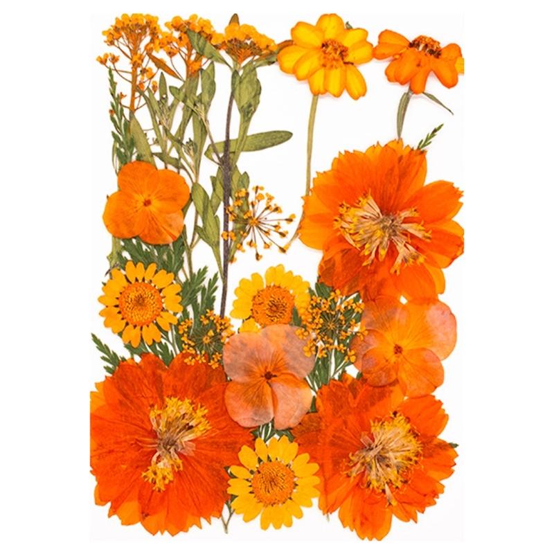 Натуральные сушеные цветы для эпоксидных форм Набор сухих цветов и листьев для искусства, ремесла, изготовления свечей, ювелирных изделий, скрапбукинга