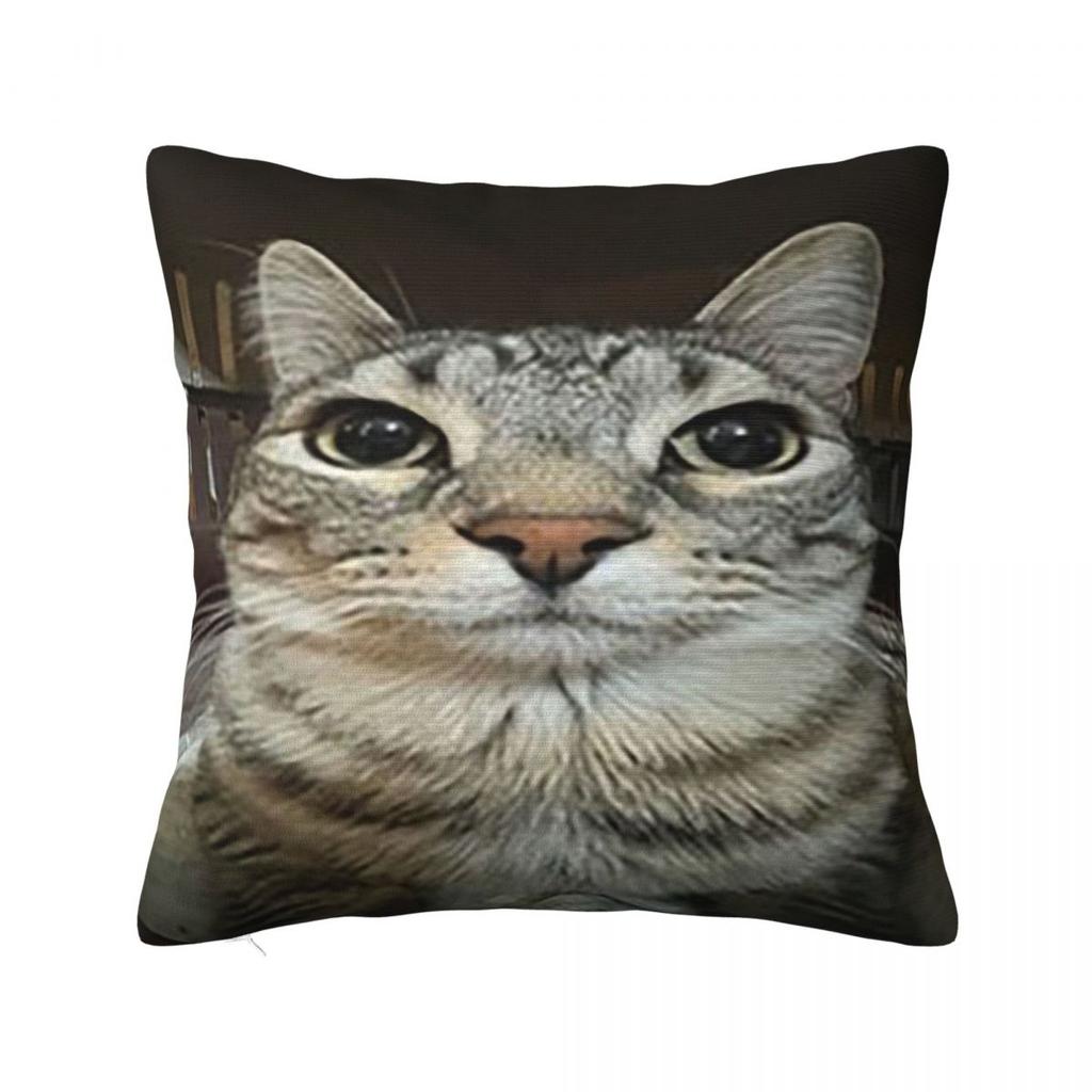 Cat Looking Directly At You Square Pillowcase Pillow Cover Polyester Cushion Zip Decorative Comfort Throw Pillow for Home Car