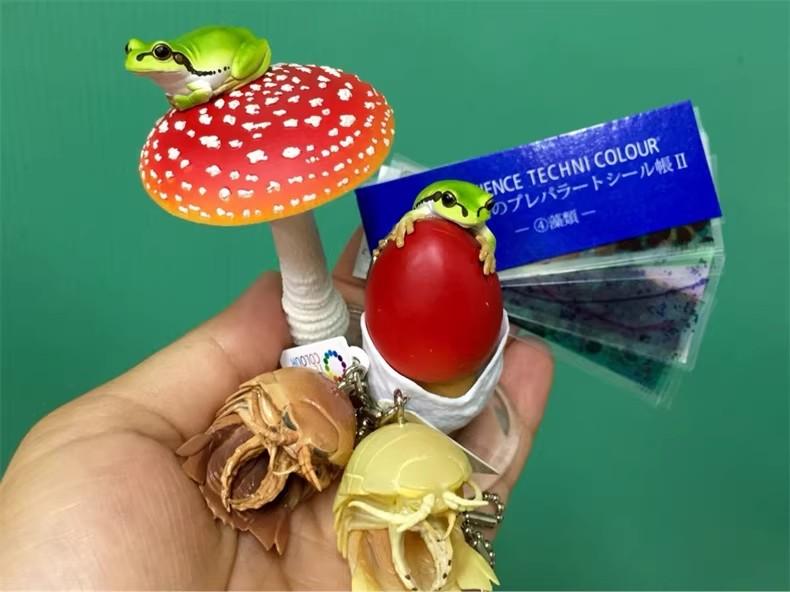 Authentic Japanese Ikimon Series 2 Mushroom And Rain Frog Realistic Fly Agaric Figure Ornament Keychain Collectible