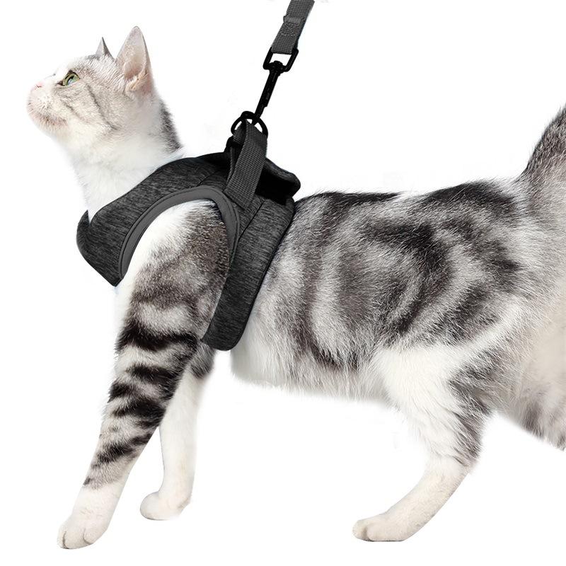 Adjustable Anti-Escape Small Pet Belt Kitten Harness Light Breathable Soft Pet Vest Wiring Harness Traction Belt Kitten Walking