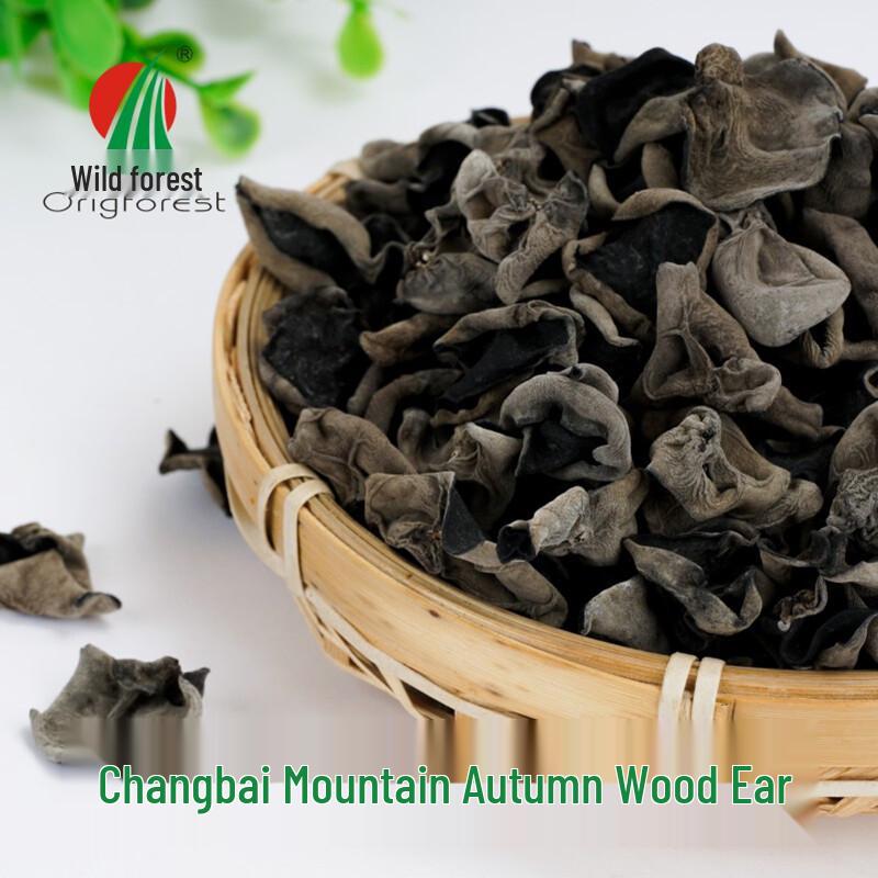 Wild Forest Changbai Mountain Autumn Black Fungus