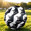 Personalized Size 5 Football Lazio FC Pattern Outdoor Game Sports Ball Gift