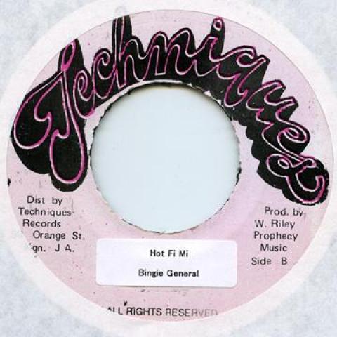 7-дюймовая пластинка BINGIE GENERAL - Hot Fi Mi Techniques 1992 Ямайка Регги, Ска и Даб