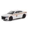 GREENLIGHT DODGE CHARGER PURSUIT ABSAROKA COUNTY SHELIFF Greenlight Scale Dodge Charger Pursuit Absaroka County 164SCALE "2015 - DEPARTMENT" 164