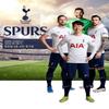 Tottenham TT04 PU Футбольный мяч №. 5 футбольных мячей с автографами Синий/Белый