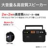TOSHIBA TY-SR66(K) FM/AM Stereo Radio with LED Light, Backlight, Earphone Jack, Sleep Timer, and Shoulder Strap Included