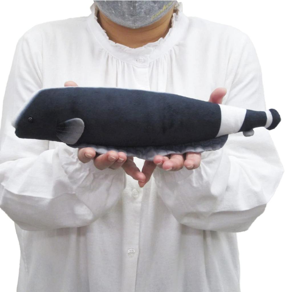 Exciting Illustrated Guide Freshwater Creatures Edition Animal Plush Toy - (Black Ghost)