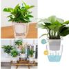 Прозрачный гидропонный горшок для растений Водосберегающий цветочный горшок Новый цветочный горшок Главная