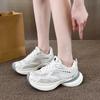Silver Platform Dad Shoes Women's Summer New Comfort Breathable Mesh Sports Versatile Casual Running Shoes