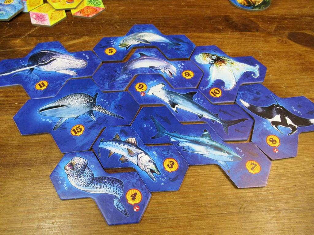 Board Game Aqua Multilingual Version