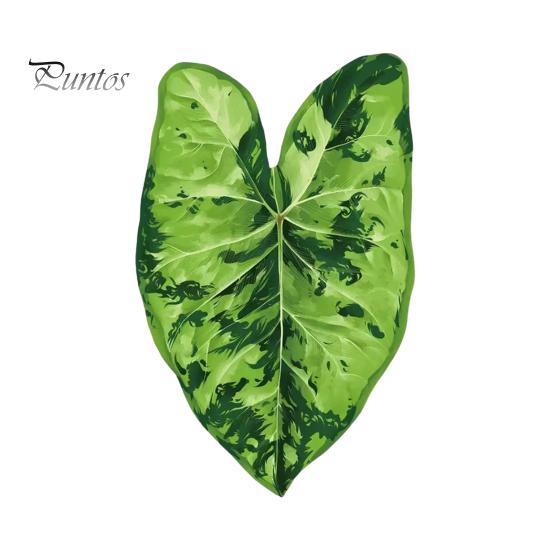 Tropical Plant Refrigerator Magnets 3D Plants Magnet, Acrylic Green Decorative Fridge Home Decor Memo Notes Photo Holder for Kitchen Office