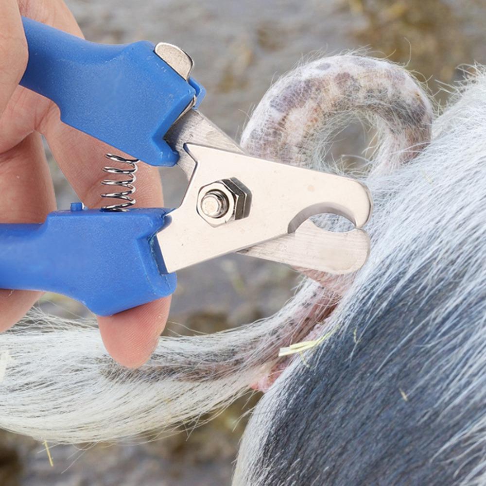 Premium Metal Tail Clamp High Quality Livestock Equipment Tail Cutting Pliers  Livestock