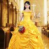 Elegant Fairytale Beauty And The Beast Princess Belle Cosplay Costume Dress For Women