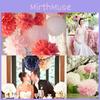 9pcs 8'' 10'' Colorful Tissue Paper Pom Poms Ball For Elegant Weddings And Festive Parties