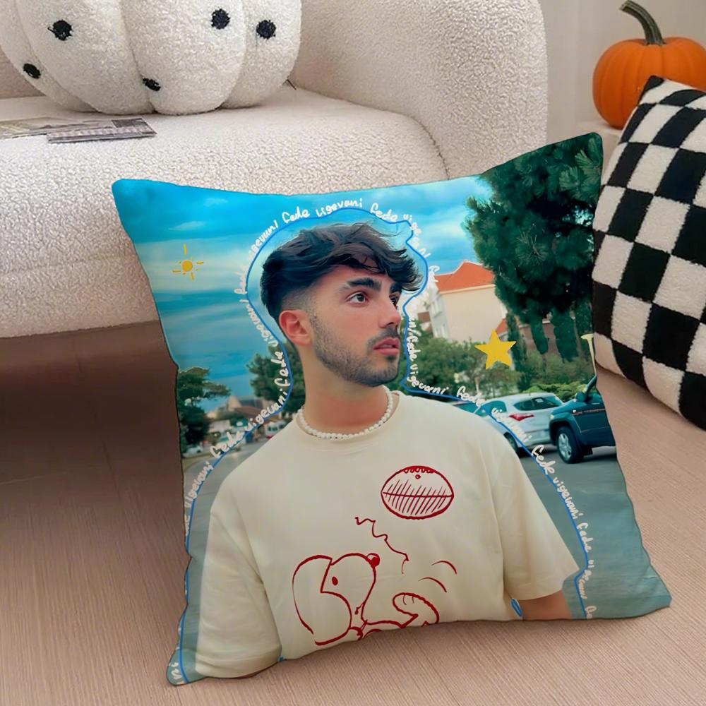 Creative Funny Argentine Creator FFede Vigevani Cushion Cover Throw Pillow Cover Hidden Button Durable Polyester Chair Cushion