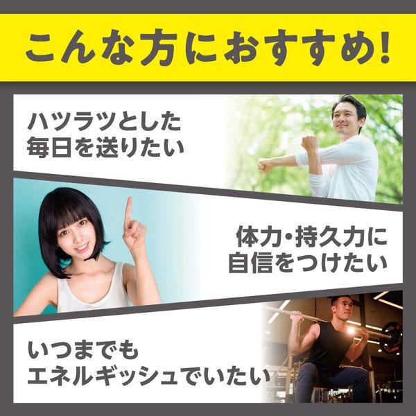 DHC Fermented Black Sesame Plus Stamina 20 Days Garlic Ginseng Maca Zinc Royal Jelly Supplement S2062