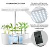 Smart Plant Growth Light LED Full Spectrum Vegetable Planting Machine Hydroponic Planting Machine
