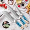 3-Piece Stainless Steel Kitchen Knives Set Japanese Professional Chef Knife with Blue Resin Handle Cooking Knife, Elegant Box