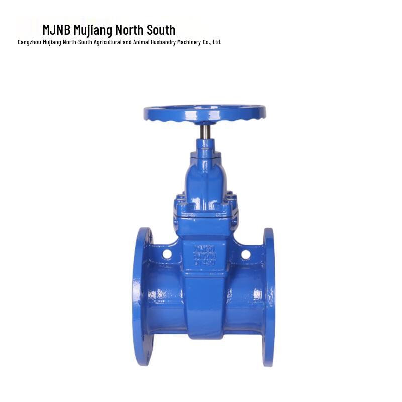 MJNB DN50 Flange Gate Valve