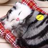 Animal Doll Plush Simulation Plush Sleeping Cat with Sound Kid Toy Decoration Birthday Gift