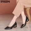 WTEMPO Women's Spring and Autumn Single Shoes Solid Color Pointed Toe Middle Thick Heel Rubber Anti-slip Sole Soft Leather Shoes Comfortable Versatile