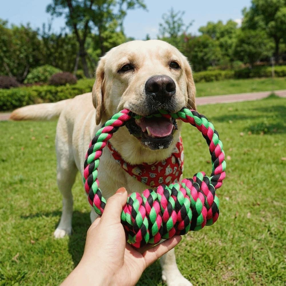 Bite Resistant Dog Chew Toy Chew-Resistant Dog Teeth Cleaning Toy Dog Teething Stick Tug of War