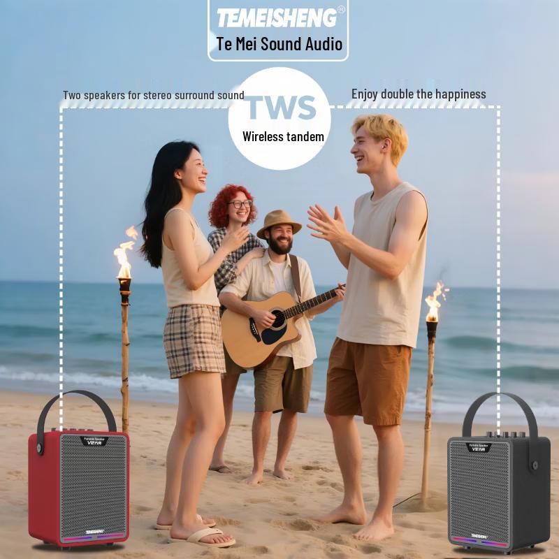 TEMEISHENG Ark V12 Portable Bluetooth Wooden Speaker with Microphone CN plug (adapter included) (CN version)