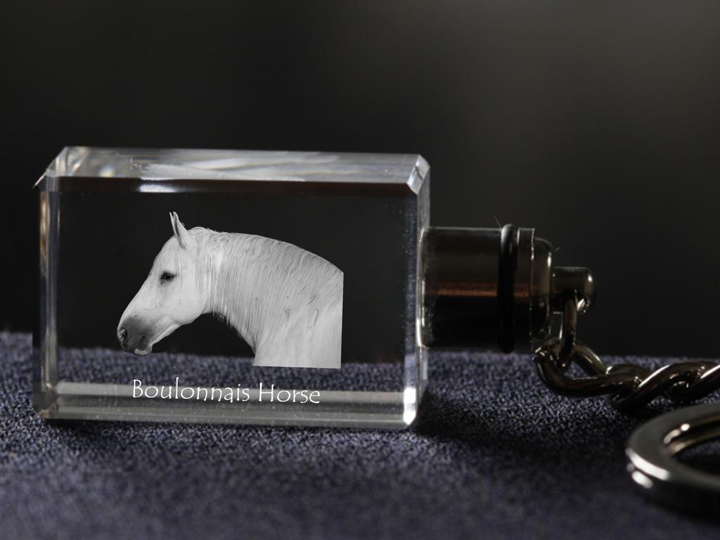 Boulonnais Horse - Crystal Pendant with Photo of a Horse, Illuminated Pendant, Unique Gift by Art-Dog Brand