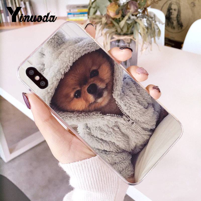 Yinuoda Померанский шпиц, красочный милый чехол для телефона для iphone 13 8 7 6 6S Plus X 10 5 5S SE XR XS XSMAX11 11pro 11promax