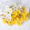 Artificial Daisies, Dutch Chrysanthemums, Cosmos Bouquets for Home, Hotel, Wedding Decor & Photo Props