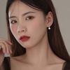 Artificial Pearl Temperament Gifts Korean Dangle Earrings Women Stud Earrings Drop Earrings Metal