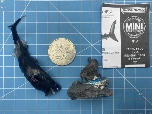 GACHA Ecological Atlas FIGURE MINI Shark Hammerhead Shark Hammerhead Shark Deep-Sea Creatures ACTION Figure Model Toys