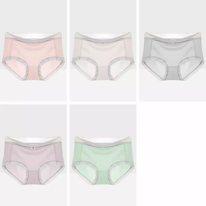 5Pcs Women's Seamless Nylon Panties Low Rise Sexy Underwear Solid Ice Silk Lingerie