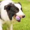 1pc Dog Toy Ball 6.5cm Teething and Bite-resistant Audible Light-emitting Toy Interactive Training Glow-in-the-dark Ball for Dog